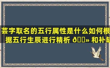 芸字取名的五行属性是什么如何根据五行生辰进行精析 🌻 和补缺